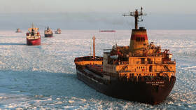 Thousands of tons of cargo to be transported via Russian Arctic sea route in 2020