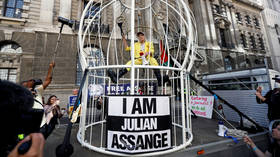 Slavoj Zizek: The treatment of Assange is an assault on everyone’s personal freedoms
