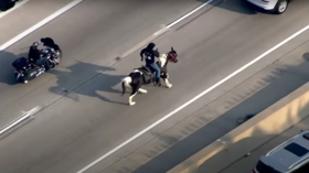 Chicago’s ‘Census Cowboy’ charged with animal cruelty after 7-mile ‘Kids Lives Matter’ stunt on freeway leaves horse badly hurt