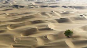 New satellite survey reveals Africa’s deserts actually filled with BILLIONS of trees