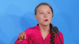 Biden supporters swoon over Greta Thunberg as Swedish activist tells Trump to ‘chill’ in response to his ‘STOP the COUNT’ call