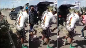 OUCH! Cyclist hospitalized with body covered in SPIKES after agonizing crash into CACTUS (VIDEO)