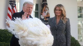 ‘Will you be issuing a pardon for yourself?’ Jeering media can’t resist bad puns after Trump pardons Thanksgiving turkeys
