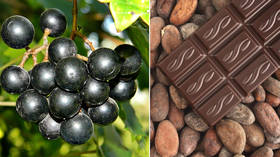 Wine & chocolate stop Covid? Study finds certain foods can kill the coronavirus