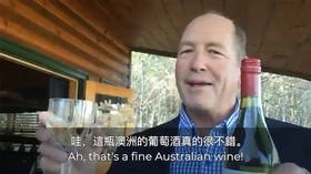 Raise a glass to war crimes: Global campaign to buy Aussie wine in China trade battle is shockingly ill-timed