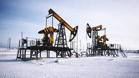 Smaller Russian oil corporations oust energy giants from top of WWF environmental rating