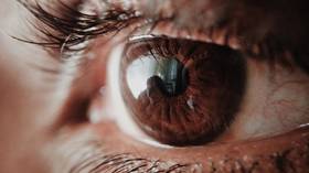 Scientists on verge of creating ‘artificial vision’ which could restore partial sight in the blind via BRAIN IMPLANTS