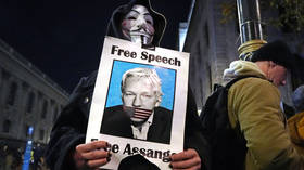 MPs from 5 German parties unite in ‘Freedom for Julian Assange’ group, protesting his possible extradition to US