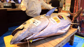 Covid-19 pandemic leaves New Year’s tuna auction in Tokyo with no jaw-dropping bidding war & costly purchases