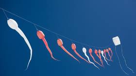 Playing dirty: Sperm caught poisoning competitors to reach the egg first