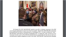 FBI unwittingly includes meme of NUDE MAN in court filing against Capitol rioter