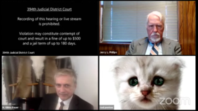 Devil’s Advo-Cat: Zoom filter turns Texas lawyer into kitten, hilarity ensues (VIDEO)