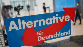 German security service designates right-wing AfD party as ‘suspected’ extremist group – reports