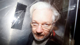 Caitlin Johnstone: Everything the West claims it values is invalidated by its treatment of Assange