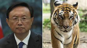 The man they call Tiger: The diplomat who stood up to America’s bullies becomes China’s new and unlikely hero