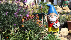 The great British garden-gnome famine: Elf is on the way after Suez Canal snarl-up & Covid deprive UK of beloved ornaments