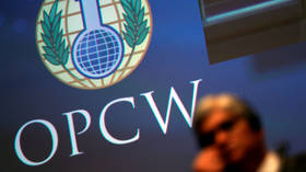 As chemical weapons watchdog’s credibility crumbles, OPCW member states strip Syria’s voting rights