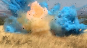 80 pounds of EXPLOSIVES used in ‘gender reveal party’ prompts EARTHQUAKE reports in NH town