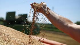 Russian wheat exports surge nearly 11% despite export curbs