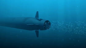 New approach to combat at sea: Russia eyes unleashing swarm of unmanned marine vehicles