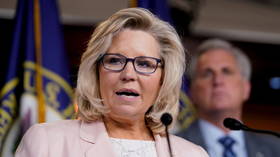 The Republicans are going to fail if people like Liz Cheney keep knifing them in the back just to win plaudits from the left