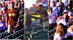 WATCH: Wild female brawl breaks out at White Sox-Cardinals baseball game as fans howl with delight