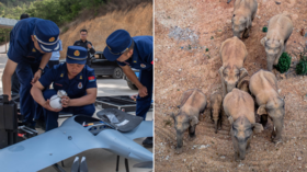 Drones, 100s of people & vehicles sent to block UNSTOPPABLE herd of 15 elephants trampling Chinese towns & farmlands (VIDEOS)