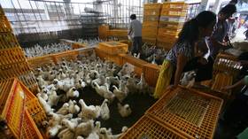 Chinese H5N8 avian influenza outbreak kills thousands of wild birds in Shaanxi province – agriculture ministry