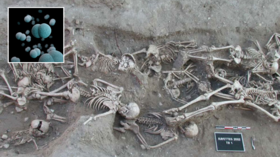 Scientists unearth '5,000 year old PLAGUE BACTERIA' that caused Black Death from skull of long-dead pandemic victim in Latvia