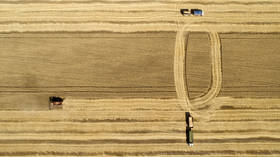 Russia’s wheat exports surge over 7% during current agricultural season