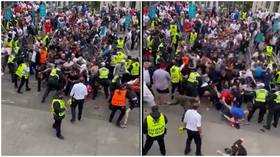 England fans ‘storm Wembley’, clash with stewards as scenes turn ugly ahead of Euro 2020 final with Italy (VIDEO)