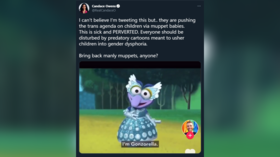 Candace Owens decries ‘predatory cartoons’ pushing kids into ‘gender dysphoria’ after Muppet Babies cross-dressing episode