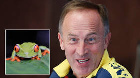 ‘They eat frogs, we don’t’: Football boss makes bizarre claim about Ukraine and France ahead of make-or-break World Cup showdown