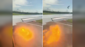 WATCH passenger jet spew flames as it strikes a flock of EAGLES on takeoff in Cuba