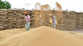 India’s wheat exports could quadruple to an 8-year high amid global price surge
