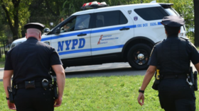 New York City man finds novel way to evade arrest, jumping into tree and refusing to come down for days