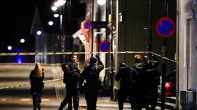 Bow and arrow attack kills 5, injures 2 people in Norway, terrorism not ruled out (PHOTOS)