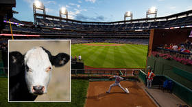 ‘This can’t be real’: MLB fans in hysterics as animal rights watchdog PETA deems the term ‘bullpen’ insensitive to cows