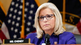 Republican Liz Cheney disowned by own party in home state