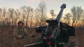 Ukrainian journalist fires howitzer ‘at Russian occupiers’ (VIDEO)