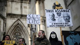 MPs blast government inaction on Julian Assange