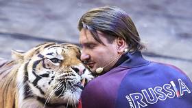 Moscow’s fat cats hire tigers for New Year bashes