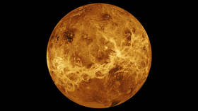 Scientists say ‘life on Venus’ is more real than ever