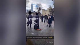 Queen’s Guard filmed mowing over boy in their path