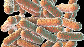 Researchers warn of possible superbug onslaught