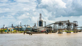 Ruptured pipeline kills thousands of animals