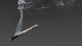 Senate hopeful smokes pot in campaign ad