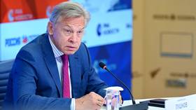 Top Russian senator blasts ‘amazing stupidity’ of Americans