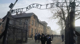 ‘Stupid joke’ at Nazi death camp Auschwitz lands tourist in trouble