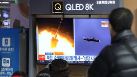 North Korea fires missile into sea – reports